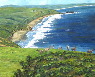 Point Reyes Tule Elk Oil Painting